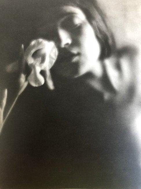 Edward Weston - The White Iris, 1921 - FineArt Vendor