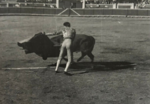 Ernest Hemingway (Bullfight) print in colors - FineArt Vendor