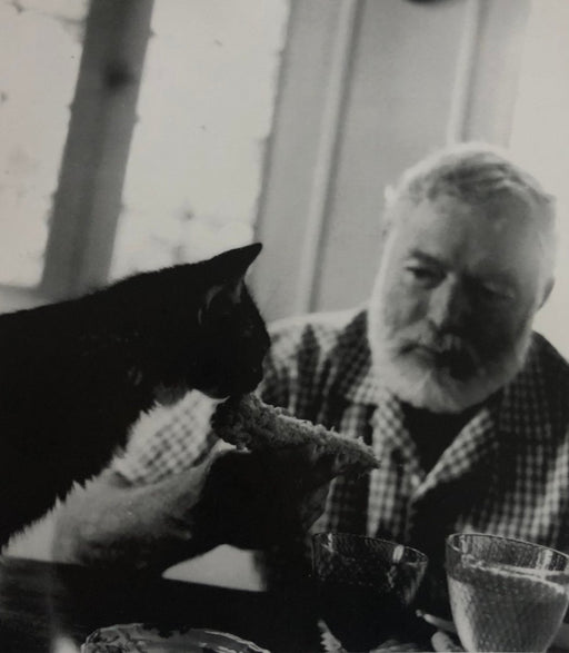 Ernest Hemingway (Friendless) print in colors - FineArt Vendor
