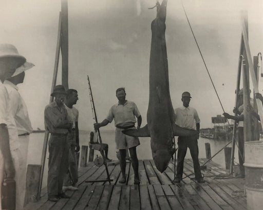Ernest Hemingway (Mako Shark Catch) Print in Colors - FineArt Vendor