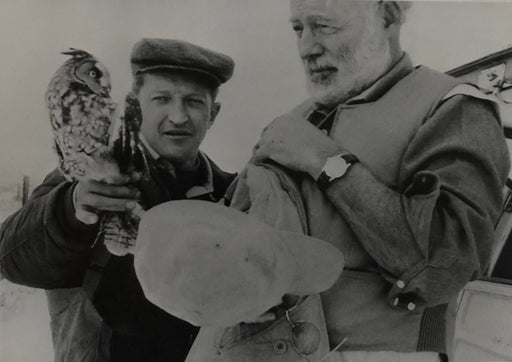 Ernest Hemingway (Mister Owl) print in colors - FineArt Vendor