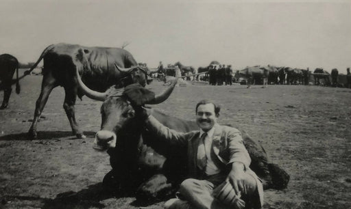 Ernest Hemingway (Sitting with Oxen) print in colors - FineArt Vendor