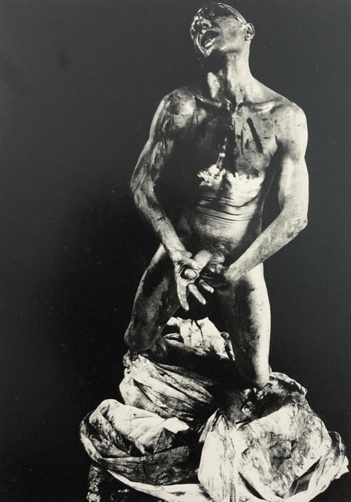 Giuliana Traverso - Francisco Copello, print in colors - FineArt Vendor
