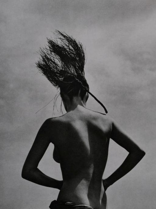 Herb Ritts - Consuelo with Pine Branch, Paradise Cove - FineArt Vendor