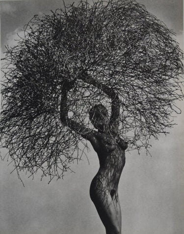 Herb Ritts - Nude , Neith with Tumbleweed , 1986 - FineArt Vendor