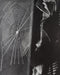 Man Ray - Composition with Spider-Web, 1930 - FineArt Vendor