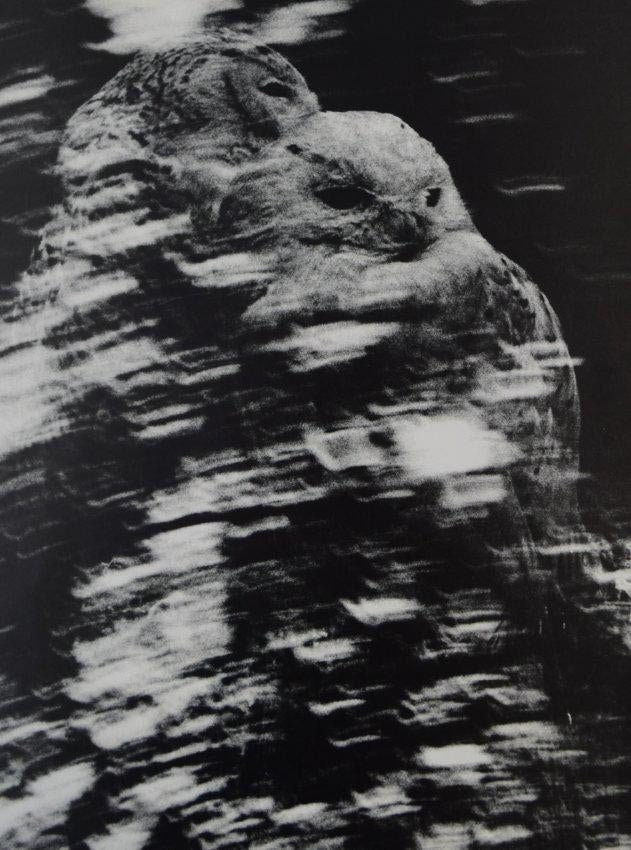 Man Ray - Study of speed - FineArt Vendor