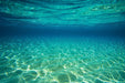 Peter Lik - Underwater - Print in Colors - FineArt Vendor