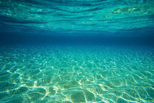 Peter Lik - Underwater - Print in Colors - FineArt Vendor