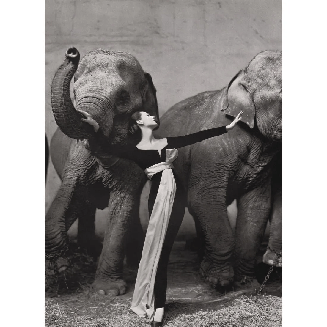 Richard Avedon