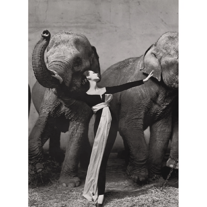 Richard Avedon - Dovima with Elephants, Paris 1955 - FineArt Vendor