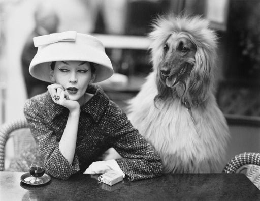 Richard Avedon - Dovima with Sacha, Print in Colors - FineArt Vendor