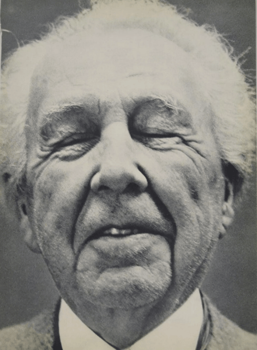 Richard Avedon - Frank Lloyd Wright - FineArt Vendor