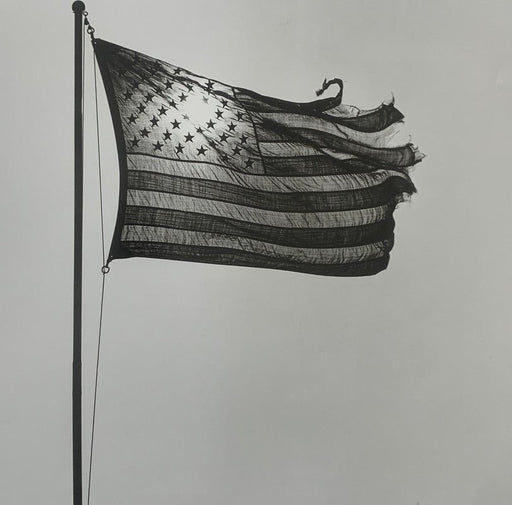 Robert Mapplethorpe - American Flag , 1977 - Print in Colors - FineArt Vendor