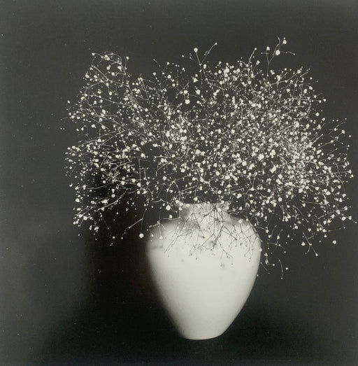 Robert Mapplethorpe - Baby's Breath N.Y.C. , 1978 - Print in Colors - FineArt Vendor