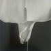 Robert Mapplethorpe - Calla Lily , 1988 - Print in Colors - FineArt Vendor