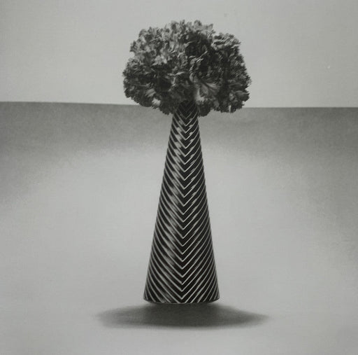 Robert Mapplethorpe - Carnations , 1984 - Print in Colors - FineArt Vendor