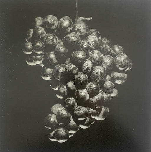 Robert Mapplethorpe - Grapes , 1985 - Print in Colors - FineArt Vendor