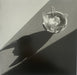 Robert Mapplethorpe - Orchid , 1987 - Print in Colors - FineArt Vendor