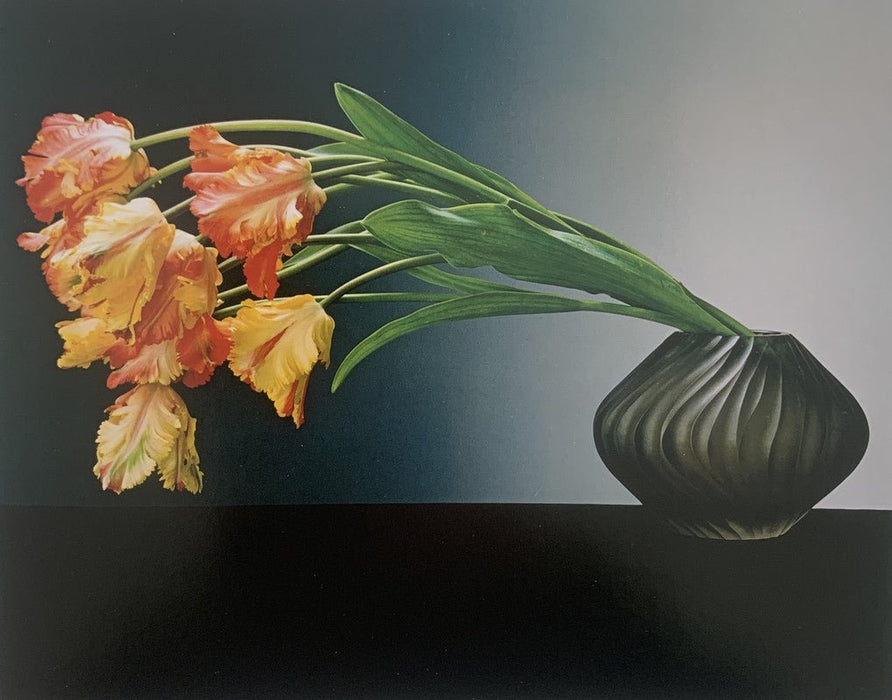 Robert Mapplethorpe - Parrot Tulips , 1988 - Print in Colors - FineArt Vendor