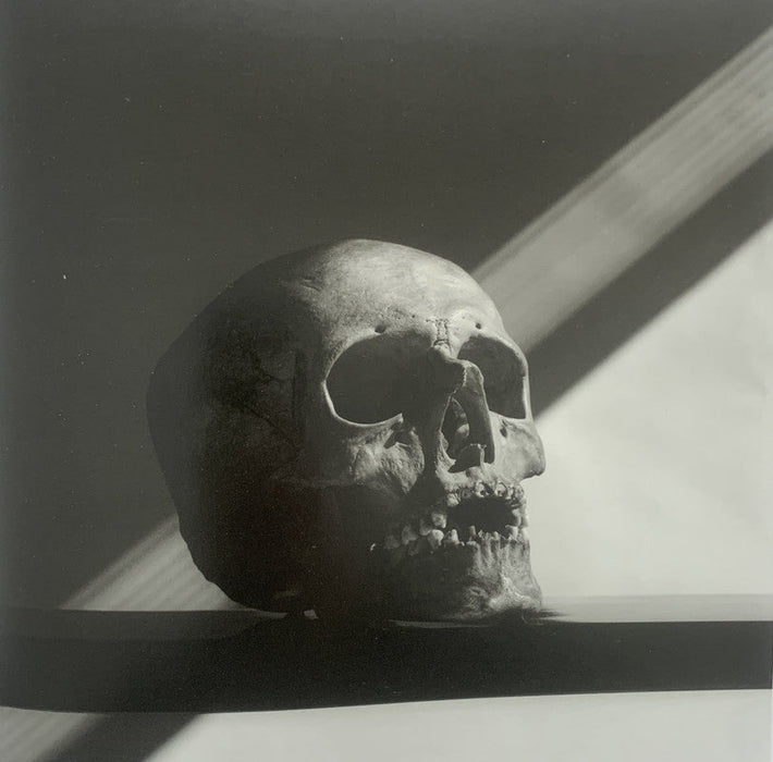 Robert Mapplethorpe - Skull , 1988 - Print in Colors - FineArt Vendor