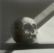 Robert Mapplethorpe - Skull , 1988 - Print in Colors - FineArt Vendor