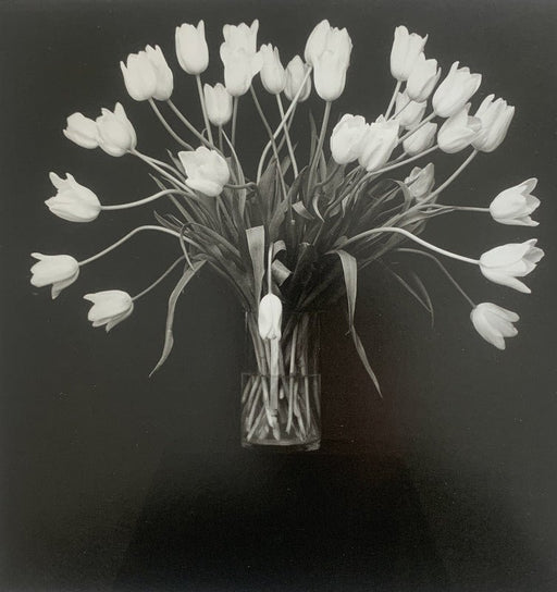 Robert Mapplethorpe - Tulips , 1988 - Print in Colors - FineArt Vendor