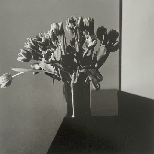 Robert Mapplethorpe - Tulips N.Y.C , 1977 - Print in Colors - FineArt Vendor