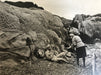 Vintage Photograph California Mountain/Landscape - FineArt Vendor