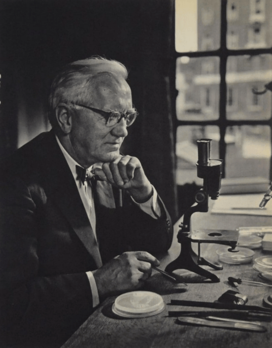 Yousuf Karsh - Sir Alexander Fleming - FineArt Vendor